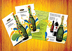 Thiết kế  Flyer / Leaflet